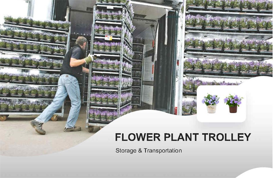 plant display trolley plant display trolley