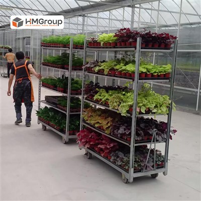 可调节植物推车